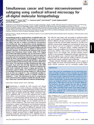 cancer microenvironment using confocal microscope